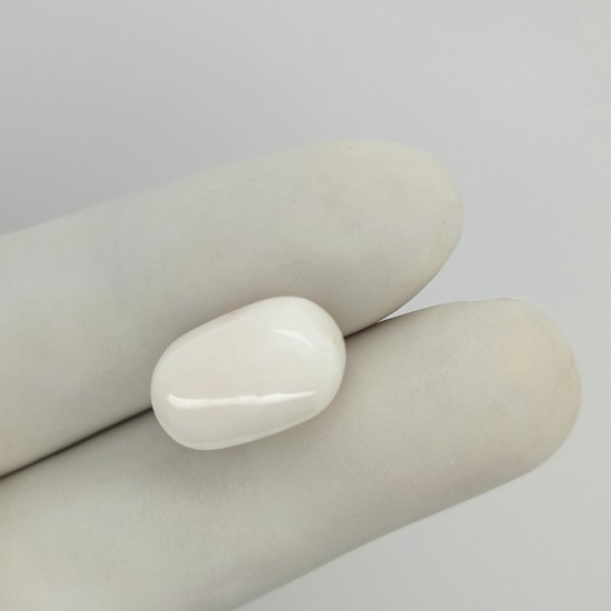 White Coral (Safed Moonga) 12.75 Ct Good Quality White Coral (Safed Moonga) 12.75 Ct Good Quality